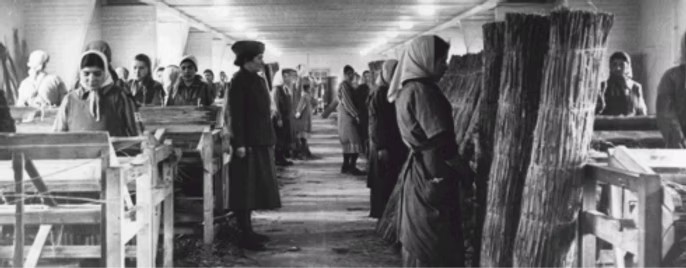 ida-crippa-lavoro-germania.jpg